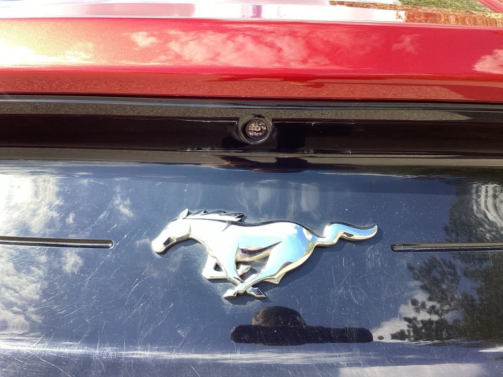 2019 Ford Mustang EcoBoost