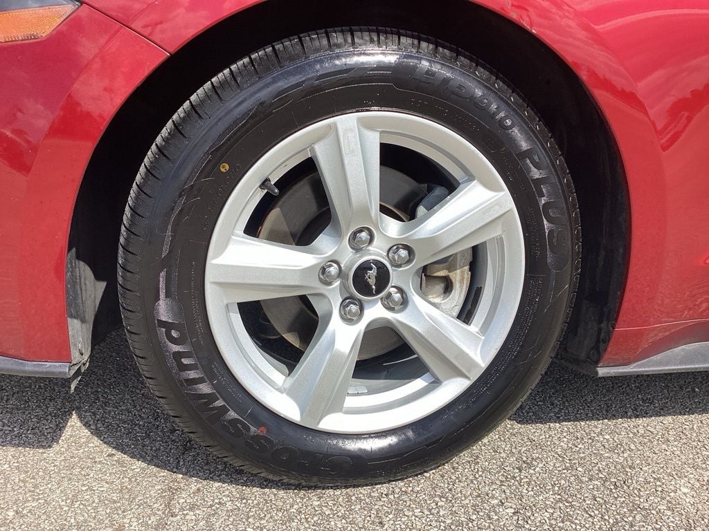 2019 Ford Mustang EcoBoost