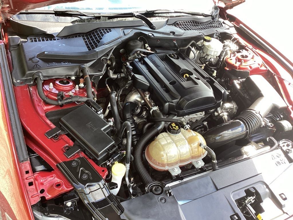 2019 Ford Mustang EcoBoost