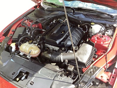 2019 Ford Mustang EcoBoost