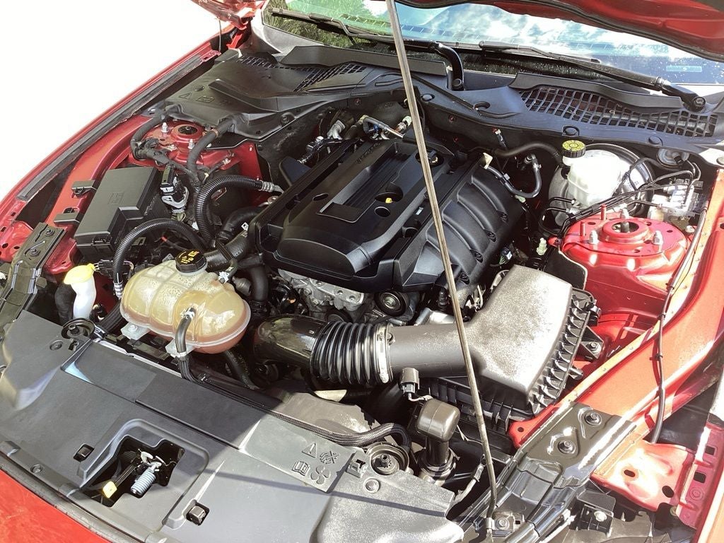 2019 Ford Mustang EcoBoost