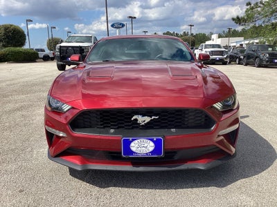 2019 Ford Mustang EcoBoost