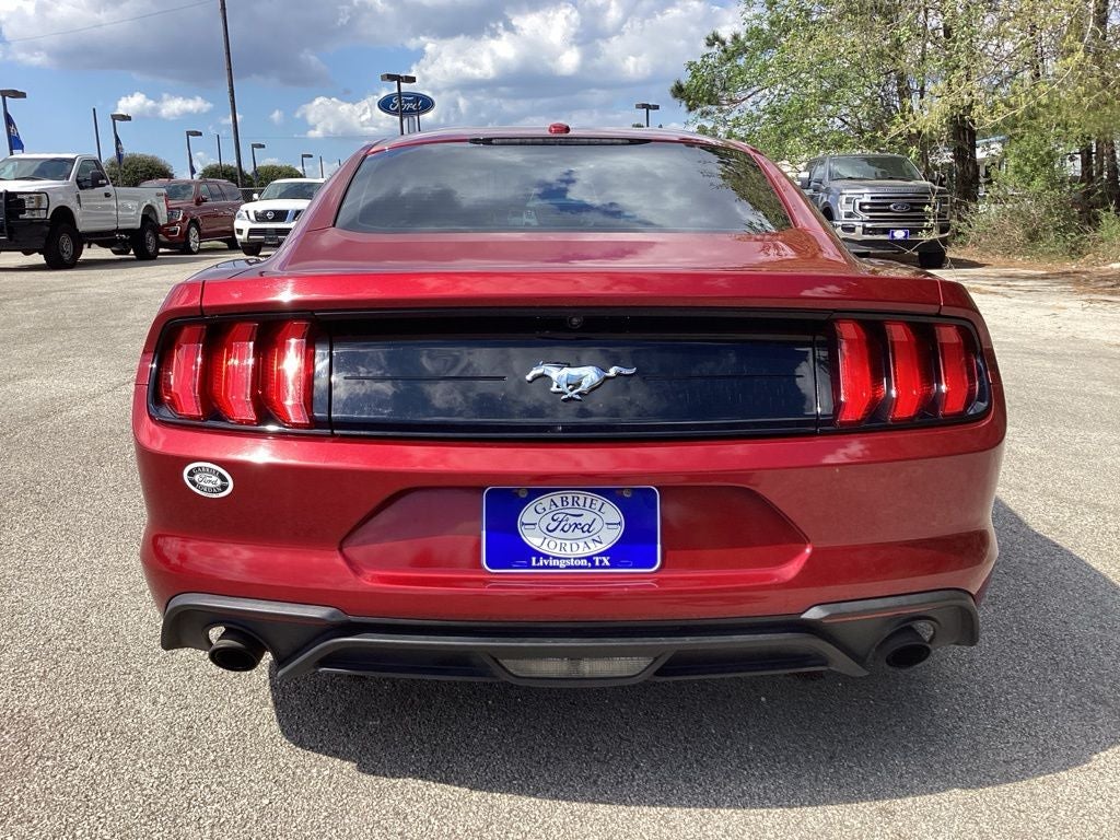 2019 Ford Mustang EcoBoost
