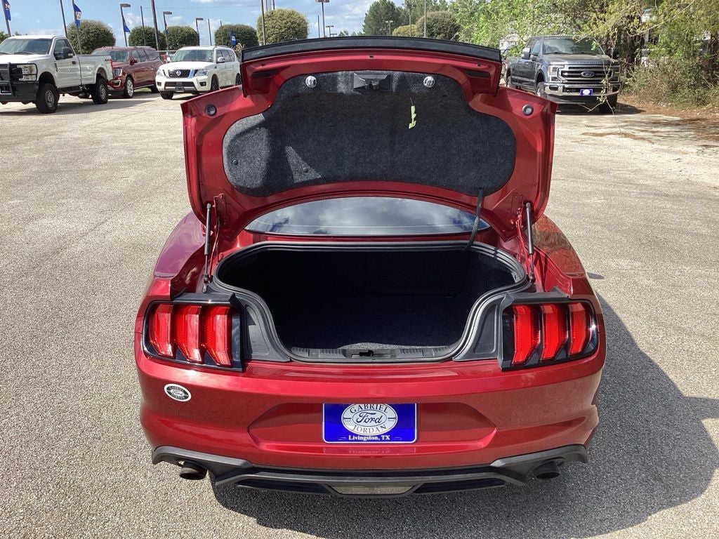 2019 Ford Mustang EcoBoost
