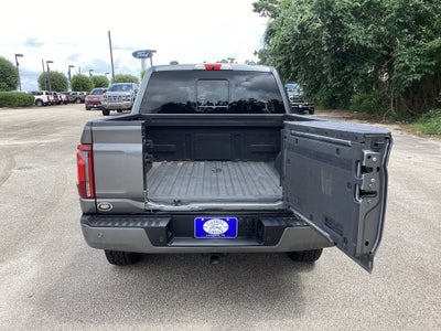 2024 Ford F-150 Platinum