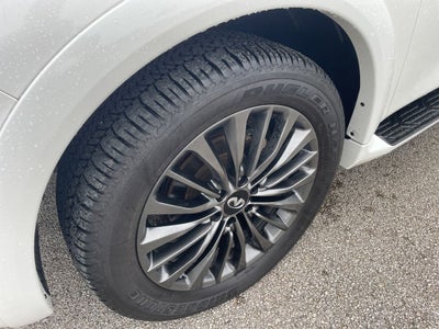 2024 INFINITI QX80 Sensory