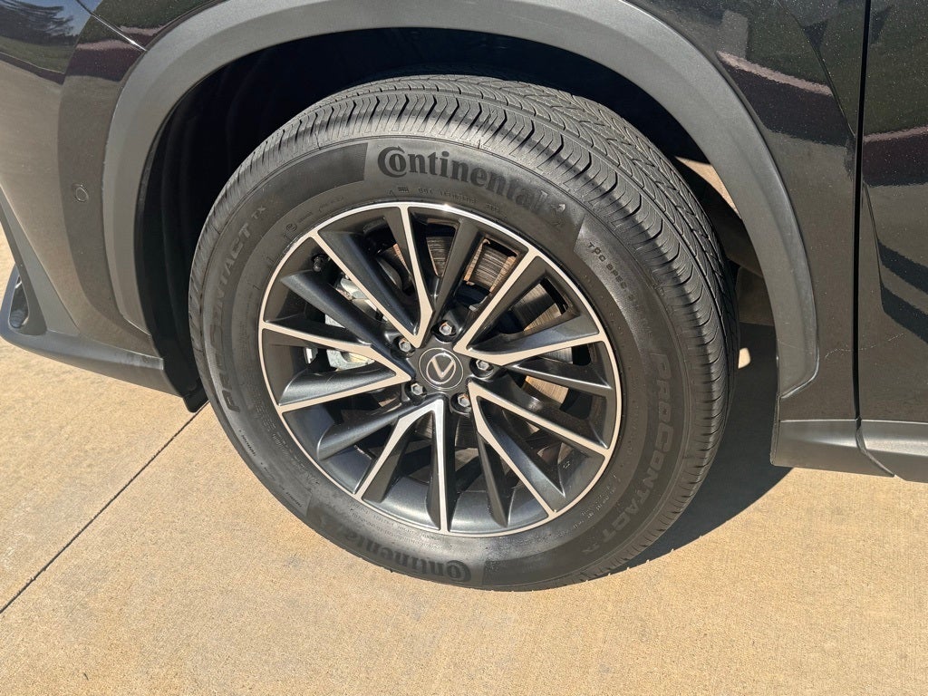 2024 Lexus NX 350h Luxury